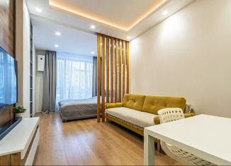1-ком. квартира в аренду, 46 м2, Санкт-Петербург, Ушаковская набережная, 3к2, Приморский район