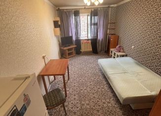 Квартира в аренду студия, 23 м2, Норильск, Молодёжный проезд, 25