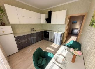 Сдаю в аренду 1-комнатную квартиру, 40.4 м2, Санкт-Петербург, улица Катерников, 5к1, метро Проспект Ветеранов