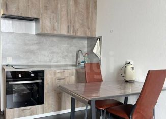 Сдается в аренду квартира студия, 24.1 м2, Санкт-Петербург, Новосергиевская улица, 3, метро Проспект Ветеранов