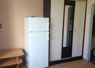 1-комнатная квартира на продажу, 18.4 м2, Нижний Новгород, микрорайон Щербинки-1, 14