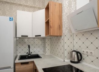 Продажа однокомнатной квартиры, 26.5 м2, рабочий поселок Маркова, микрорайон Берёзовый, 196