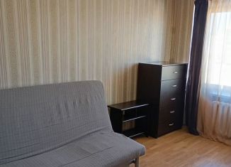 Аренда однокомнатной квартиры, 29 м2, Санкт-Петербург, Московский проспект, 205, метро Звёздная