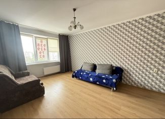 1-ком. квартира на продажу, 40 м2, Краснодар, улица Трудовой Славы, 5, Карасунский округ