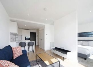 Продам квартиру студию, 23 м2, Санкт-Петербург, Каменноостровский проспект, 24, Петроградский район