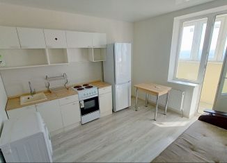 Однокомнатная квартира на продажу, 40.7 м2, Ростов-на-Дону, 2-я Краснодарская улица, 169Бс2, ЖК Я