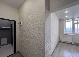 Продается квартира студия, 24 м2, деревня Ивановское, улица Семёна Гордого, 12, ЖК Ново-Никольское