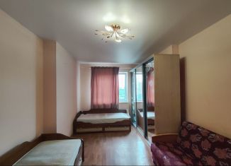 Сдается однокомнатная квартира, 40 м2, Екатеринбург, Братская улица, 27к3, метро Чкаловская