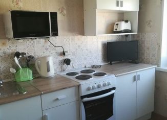 Сдача в аренду 2-ком. квартиры, 46 м2, Санкт-Петербург, Елагинский проспект, 42, Приморский район