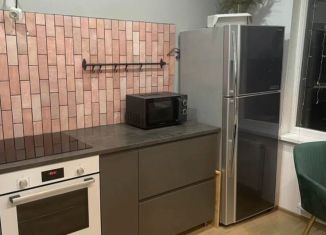 Сдача в аренду 1-ком. квартиры, 40 м2, Санкт-Петербург, Вилькицкий бульвар, 7, метро Приморская