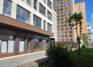 Однокомнатная квартира на продажу, 48.7 м2, Санкт-Петербург, Московский проспект, Московский проспект, 138