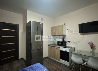 Продам квартиру студию, 20.8 м2, Санкт-Петербург, муниципальный округ Звёздное, Среднерогатская улица, 16к4