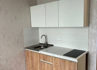 Сдача в аренду квартиры студии, 20 м2, Екатеринбург, микрорайон Светлый, 10