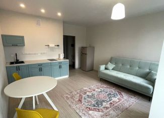 Сдаю квартиру студию, 29 м2, Тула, Пряничная улица, 4