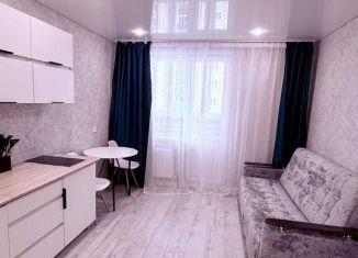 Сдам квартиру студию, 20 м2, Республика Башкортостан, улица Валерия Лесунова, 18