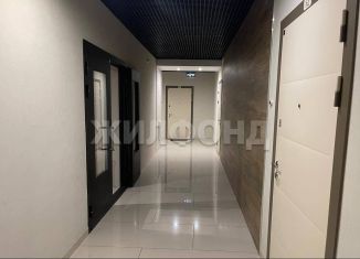 Продается 1-комнатная квартира, 34.4 м2, Новосибирск, 1-я Шоссейная улица, 56, метро Студенческая