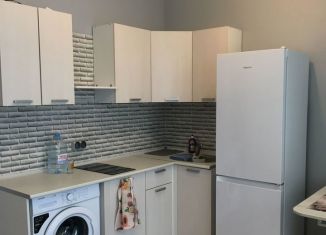 Сдача в аренду 1-комнатной квартиры, 26 м2, Екатеринбург, улица Академика Парина, 46