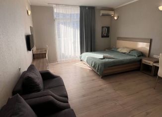Продается квартира студия, 22 м2, Сочи, микрорайон Центральный, улица Ульянова, 13/3