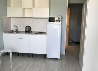 Сдам квартиру студию, 23 м2, Санкт-Петербург, бульвар Александра Грина, 2к1, метро Приморская