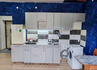 Сдача в аренду квартиры студии, 26.4 м2, Республика Алтай, улица Берёзовая Роща, 9к4