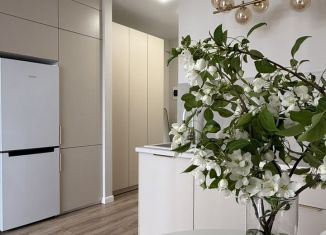 Сдается в аренду 2-комнатная квартира, 37 м2, Екатеринбург, Машинная улица, 31Е