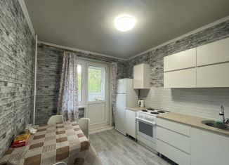 Аренда однокомнатной квартиры, 43 м2, Москва, Молодогвардейская улица, 34, ЗАО