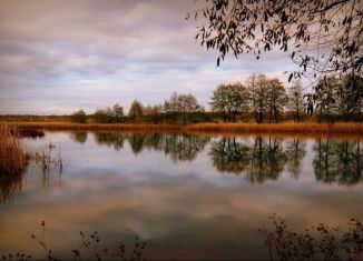 Продается земельный участок, 80 сот., рабочий посёлок Рамонь