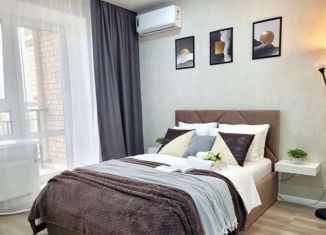Сдаю в аренду 1-комнатную квартиру, 45 м2, Тюмень, улица Тимофея Кармацкого, 9, Центральный округ