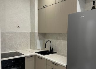 Квартира в аренду студия, 25 м2, Краснодар, улица Кирилла Россинского, 3/2к1