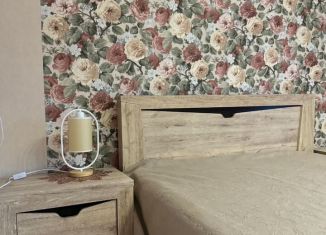 Сдается дом, 40 м2, Краснодарский край, Ряжский переулок, 25