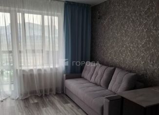 Сдается в аренду квартира студия, 27 м2, Новосибирск, Светлановская улица, 52/2, Заельцовский район