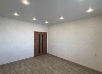 Продам 1-комнатную квартиру, 41.8 м2, Благовещенск, Заводская улица, 2/4
