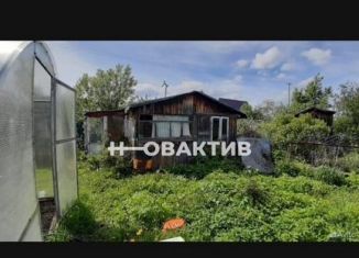 Продажа дачи, 25 м2, Новосибирская область, территория садоводческого товарищества Сибирская виктория, 111