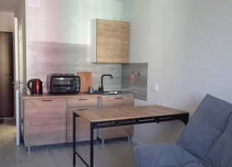 Сдаю квартиру студию, 20.5 м2, Мурино, улица Шоссе в Лаврики