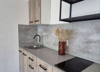 Сдам в аренду квартиру студию, 20 м2, Санкт-Петербург, Муринская дорога, 29, метро Академическая