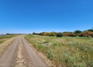 Продается земельный участок, 10 сот., село Красная Зорька