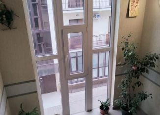 Однокомнатная квартира в аренду, 43 м2, Краснодарский край, Александрийский переулок, 2