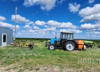 Продам земельный участок, 10000 сот., село Зыбины, улица Новосёлов, 6А