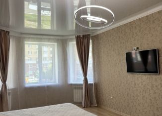 1-комнатная квартира в аренду, 50 м2, Оренбургская область, Салмышская улица