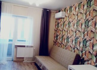 Квартира в аренду студия, 24 м2, Ростовская область, улица Пановой, 30к2