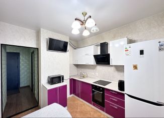 1-комнатная квартира в аренду, 36 м2, Санкт-Петербург, проспект Просвещения, 15, метро Озерки