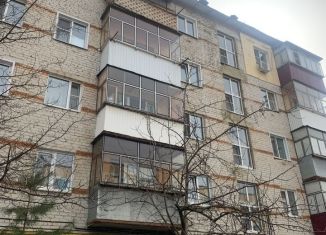 Продажа 2-комнатной квартиры, 42 м2, Мордовия, улица Терешковой, 10