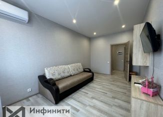 1-комнатная квартира в аренду, 42 м2, Ставрополь, переулок Крупской, 29к2, микрорайон № 9