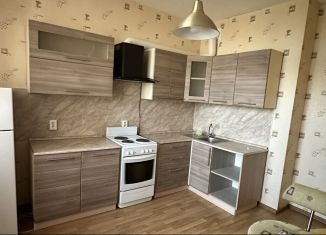 Сдается однокомнатная квартира, 43 м2, Санкт-Петербург, Краснопутиловская улица, 50к2, метро Ленинский проспект