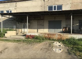 Сдам в аренду складское помещение, 400 м2, Пензенская область, Железнодорожный проезд, 7