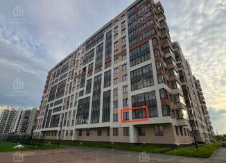 1-комнатная квартира на продажу, 30.5 м2, Кудрово, проспект Строителей, 1к1