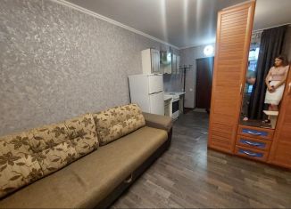 Однокомнатная квартира в аренду, 23 м2, Кемерово, проспект Ленина, 53