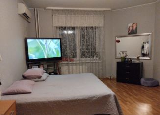 Продается 1-комнатная квартира, 43 м2, Санкт-Петербург, Красносельский район, Авангардная улица, 26к1
