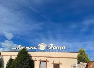 Таунхаус на продажу, 33.3 м2, село Витино, Жемчужная улица, 21