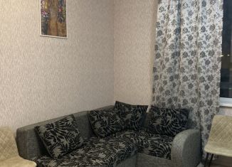 Квартира в аренду студия, 25 м2, Ленинградская область, Солнечная улица, 12